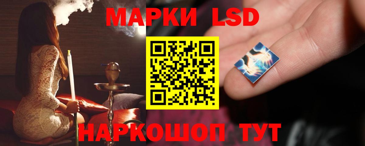 Галлюциногенные грибы Соль-Илецк