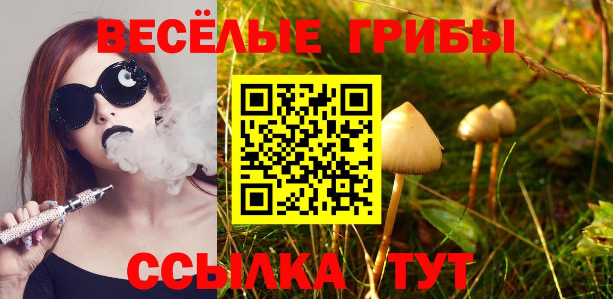 Галлюциногенные грибы Cubensis  Псилоцибиновые грибы мицелий  Соль-Илецк  Вход с VPN 