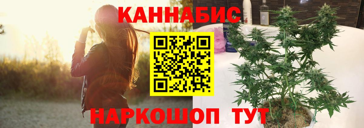 Бошки марихуана конопля  Вход с VPN  Бошки Шишки LSD WEED  Канабис MAZAR  Соль-Илецк 